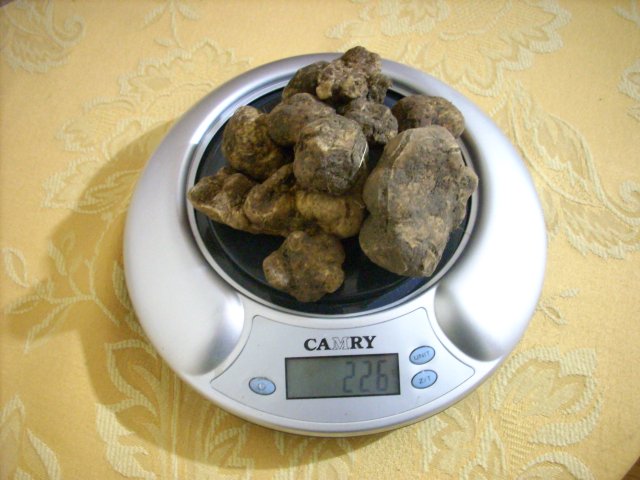 2012_12_04 226 gr